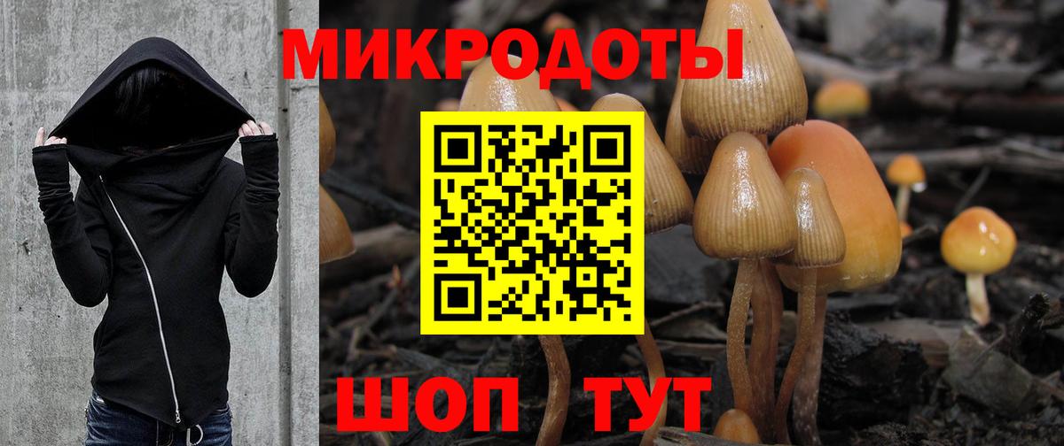 Псилоцибиновые грибы прущие грибы  Псилоцибиновые грибы Magic Shrooms  Кимры  Вход с VPN 